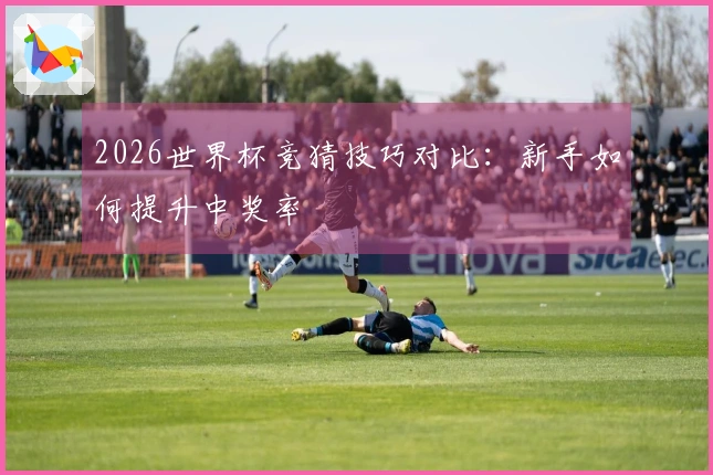 2026世界杯竞猜技巧对比：新手如何提升中奖率