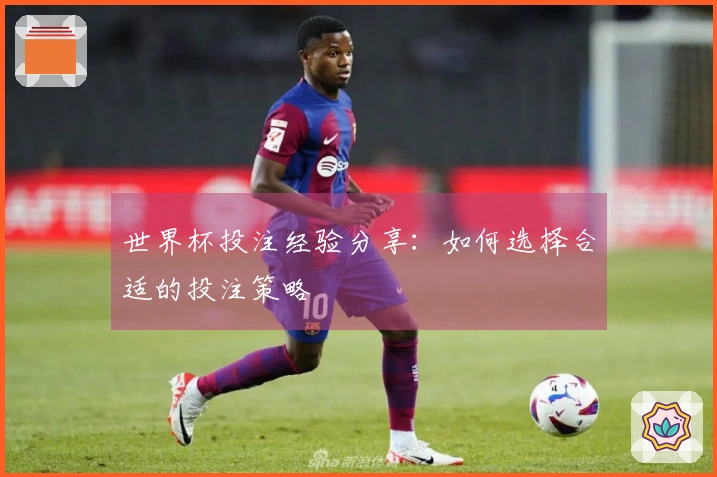 世界杯投注经验分享：如何选择合适的投注策略