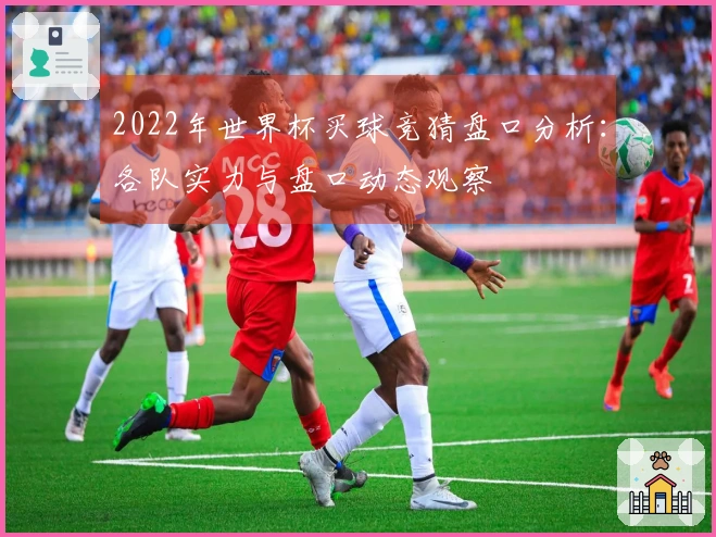 2022年世界杯买球竞猜盘口分析：各队实力与盘口动态观察