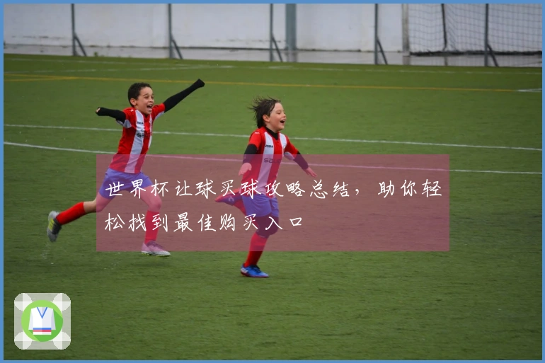 世界杯让球买球攻略总结，助你轻松找到最佳购买入口