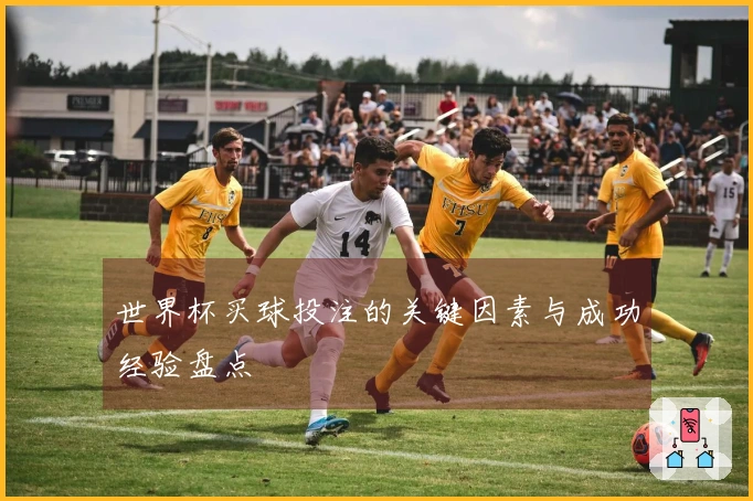 世界杯买球投注的关键因素与成功经验盘点