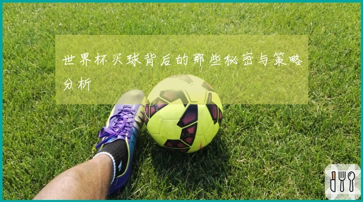 世界杯买球背后的那些秘密与策略分析