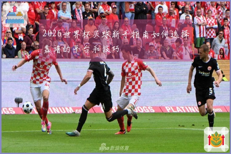 2026世界杯买球新手指南如何选择靠谱的平台和技巧