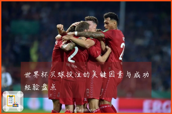世界杯买球投注的关键因素与成功经验盘点