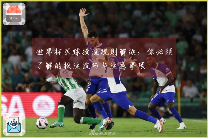 世界杯买球投注规则解读，你必须了解的投注技巧与注意事项